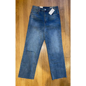 Blank NYC The Baxter Ribcage Straight Leg Jeans Size 29 Ripped Raw Edge‎